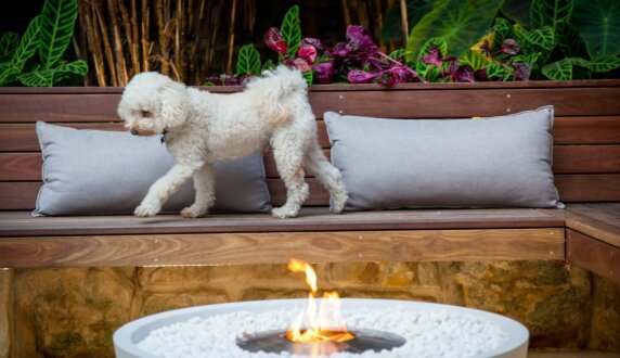 Stone Lotus Landscapes